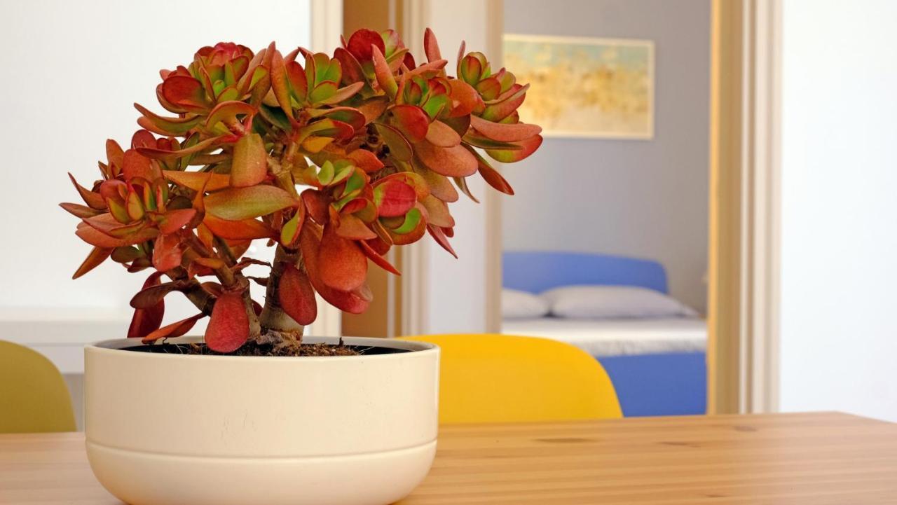 Apartament Casa Barca - Le Chiavi Degli Iblei Punta Braccetto Zewnętrze zdjęcie